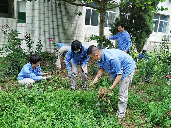 党员义务劳动.jpg