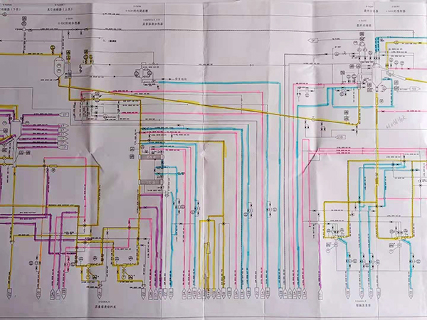 对她  大家竖起了大拇指0.jpg