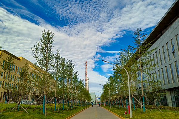 7月10日，运销分部人员在厂区巡检，节能降碳，打造绿色企业。运销分部 伍思盈 摄   600.jpg