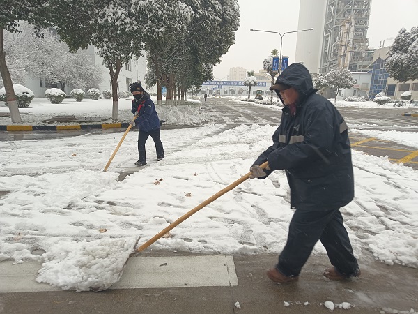 2024年1月15日，行政保卫部组织人员在各主干道、人行道进行扫雪.jpg